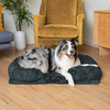 Wolkennest Hondenbed I Orthopedische bed voor uw geliefde hond (LENTE SALE!)